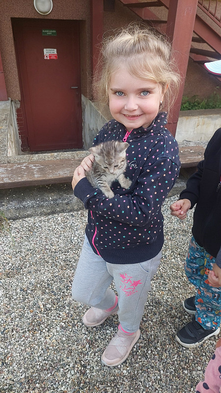 POHÁDKOVÁ CESTA S KOHOUTKEM