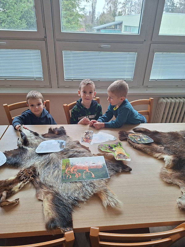 2 .4.  Lesní pedagogika (SPRÁVA ČL  ve Vítkově )  -   beseda o zvířátkách