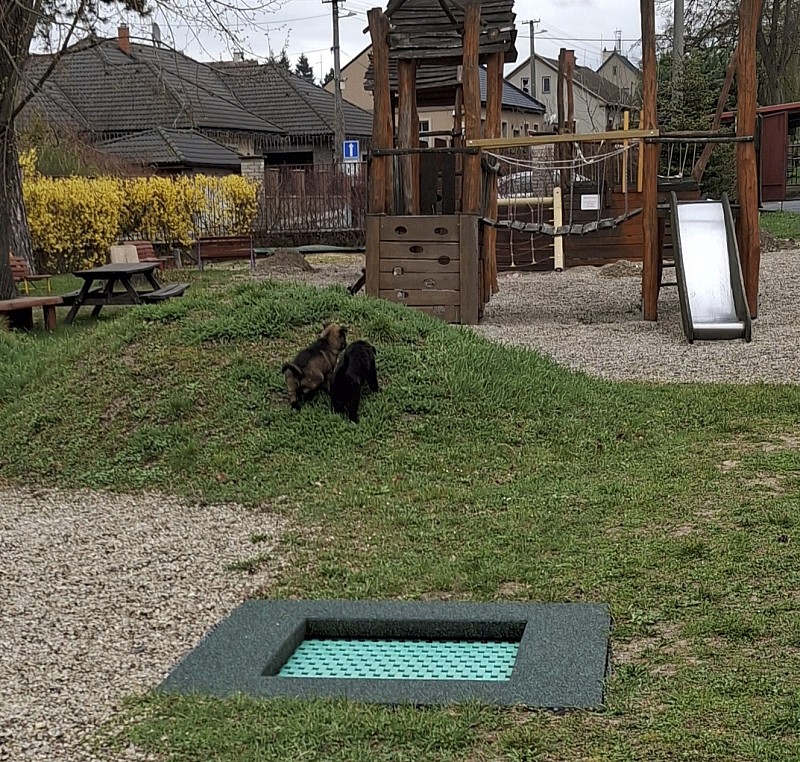 Hrajeme si se štěňátky