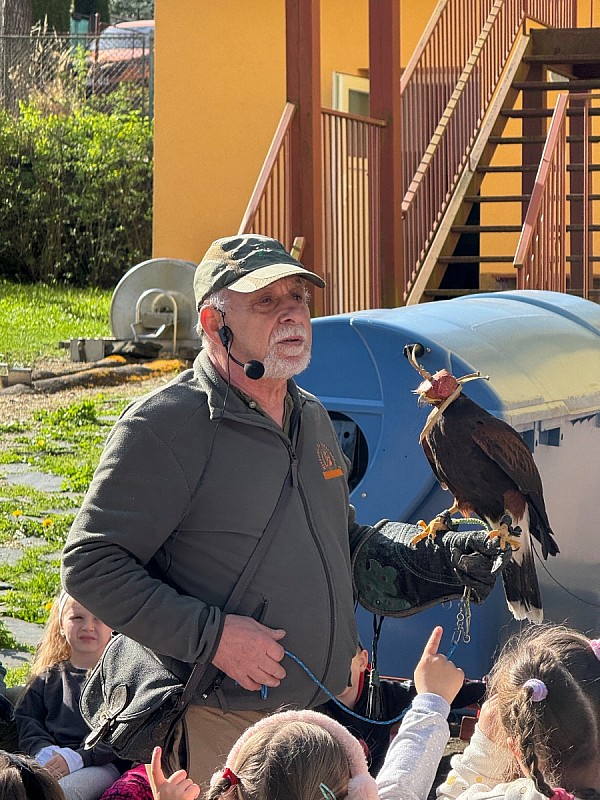 Draví ptáci u nás ve školce 