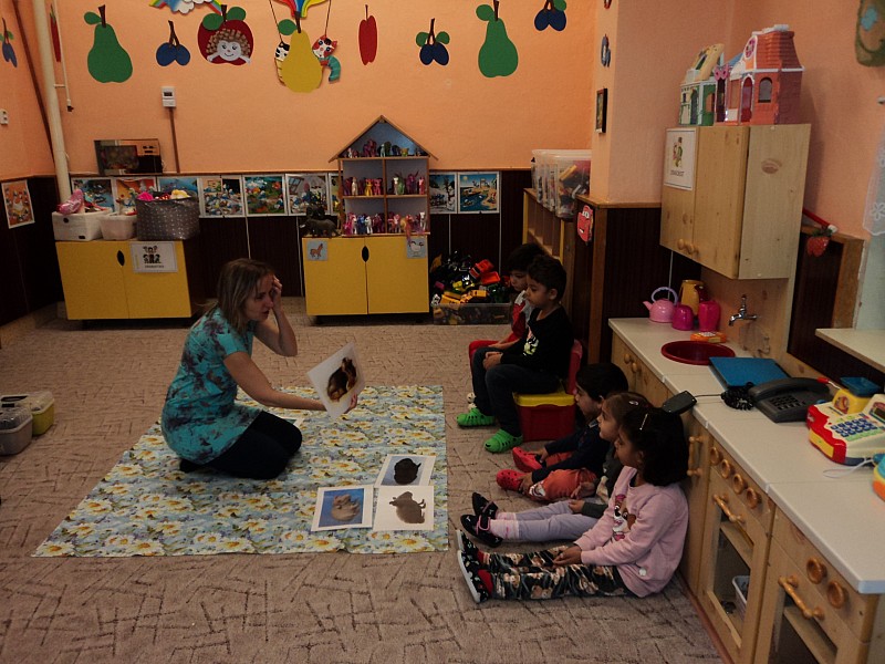 Můj mazlíček- morčátka