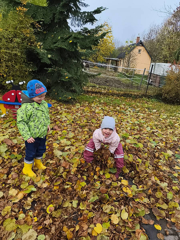 Podzim na naší zahradě