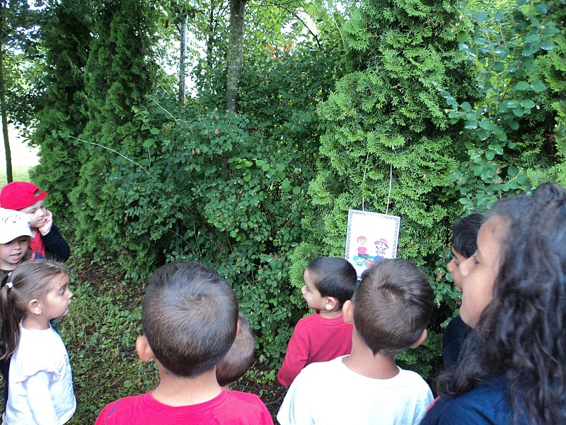 Medvíďata s koťaty prošli stezku odvahy