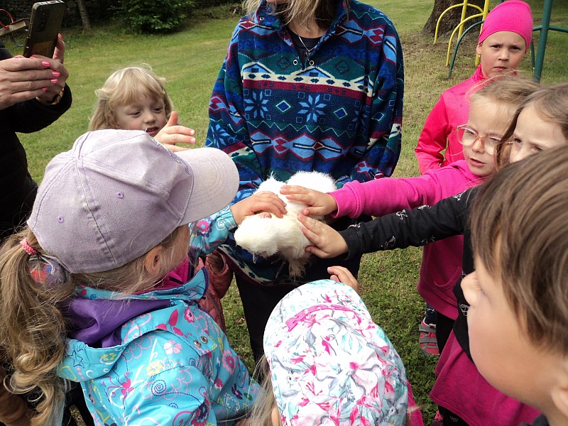 MINIZOO- Medvíďata a Sovičky