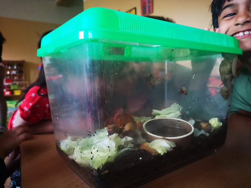 Staráme se o šnečky