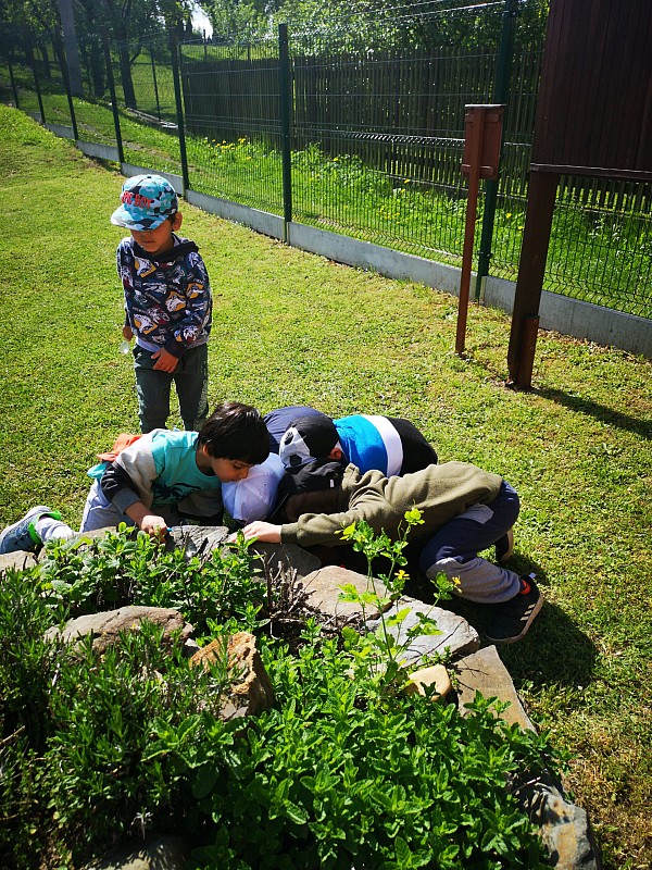 Zkoumání hmyzí říše