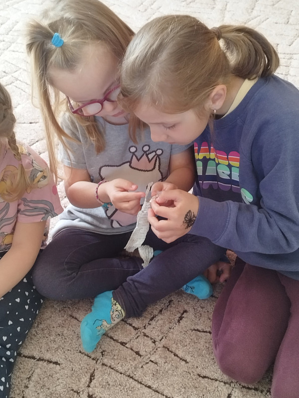 Dobrodružství s hady