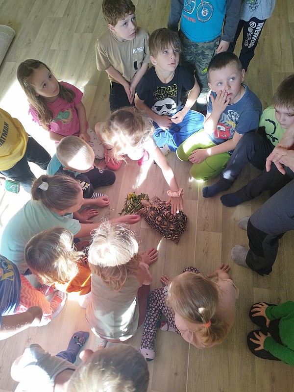 Dobrodružství s hady