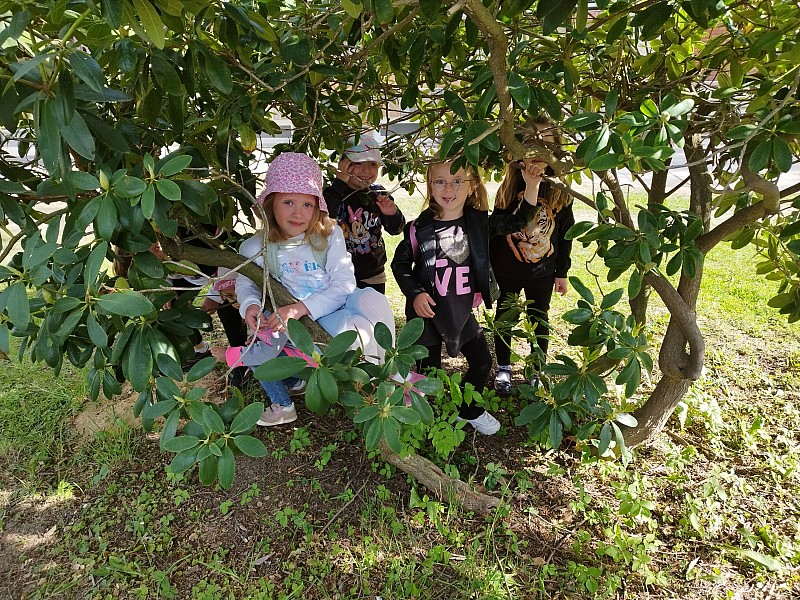 Loutkové divadlo Odry - Jak pejsek s kočičkou uklidili les