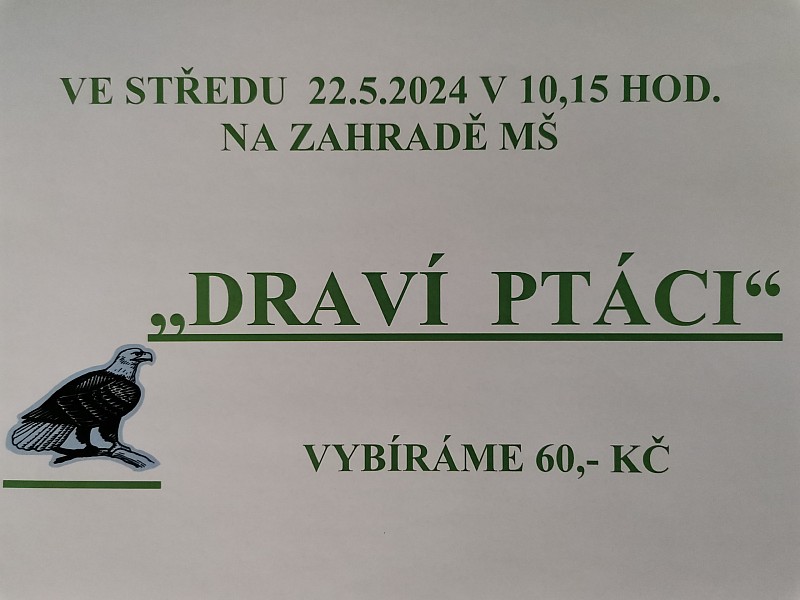DRAVÍ PTÁCI V MŠ 