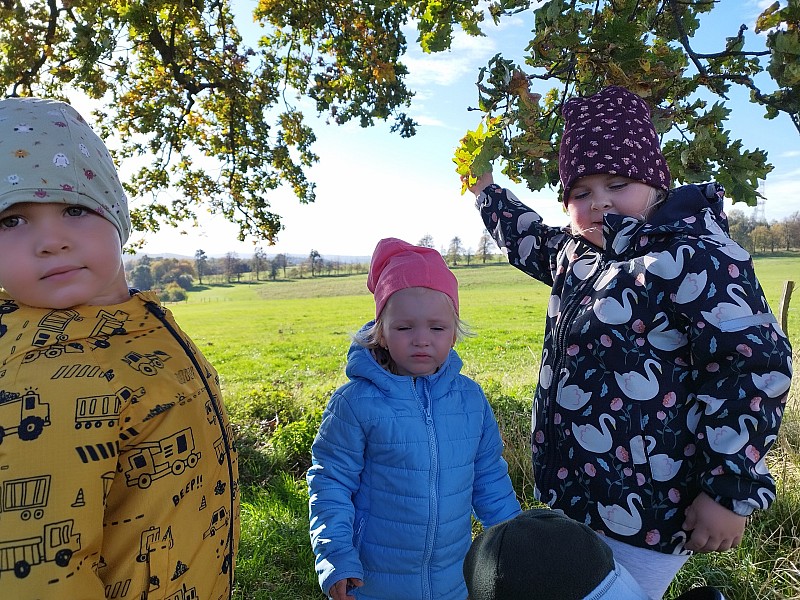 Podzimní procházka a sbírání podzimních plodů 