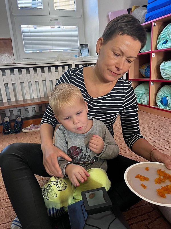 O tom jak Koťátka kandovala dýni 